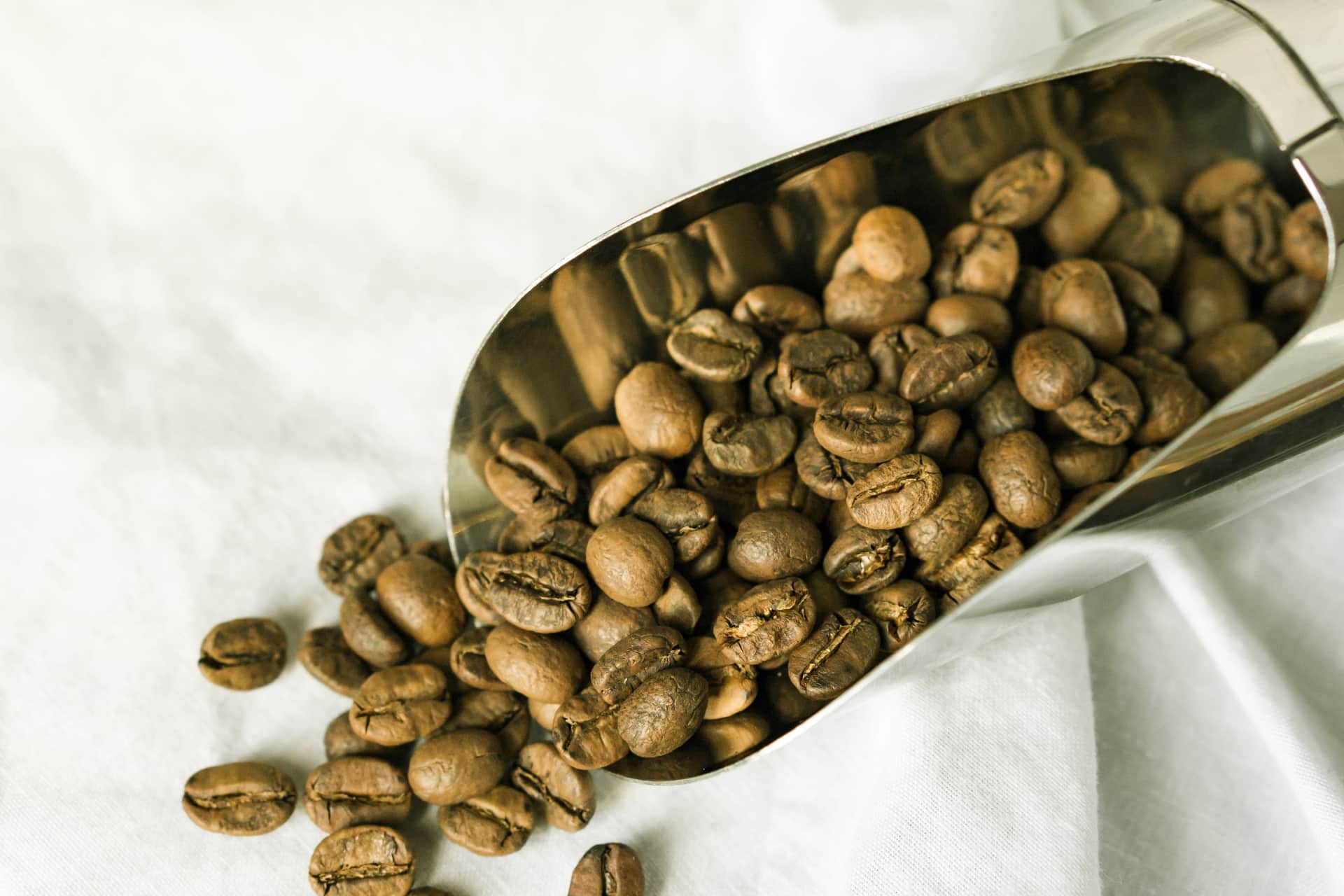 Roasted coffee beans spilling from a scoop on a dark surface